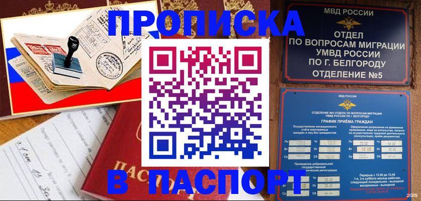 купить прописку в Самарской области